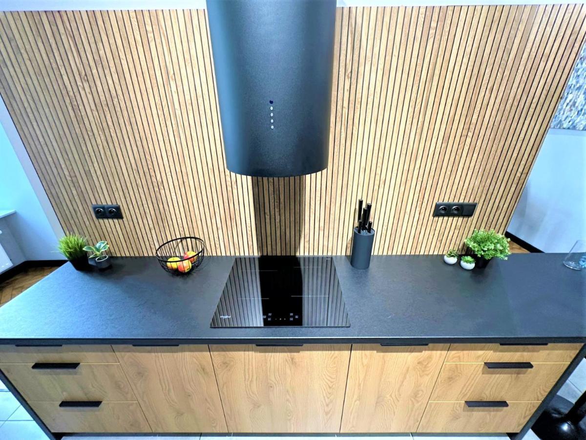 Appartement Luxury 100m2 Loft Design-apartment At Wawel + Netflix *