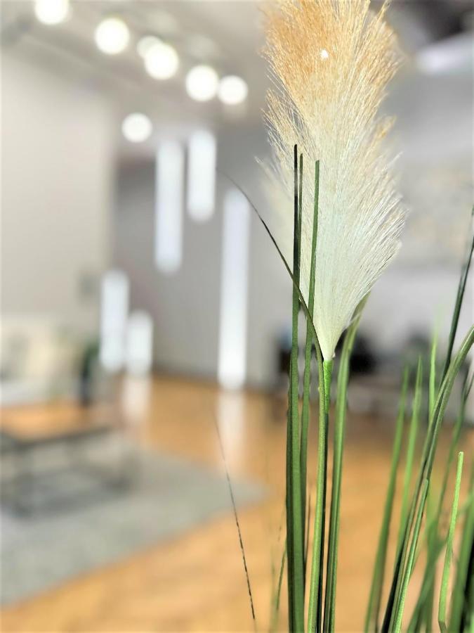 Appartement Luxury 100m2 Loft Design-apartment At Wawel + Netflix Krakau